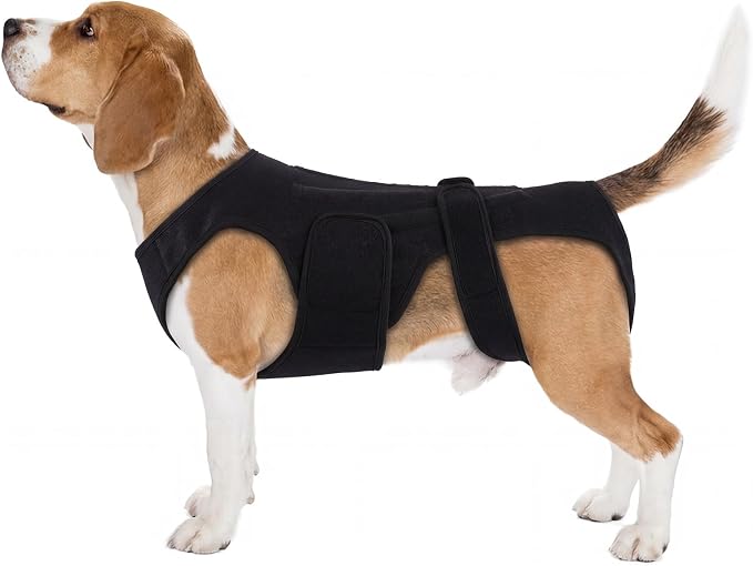 Back Brace for Dogs with Strong Spine Stability Support, Black L | IVDD Mobility Back Brace for Pet, Breathable & Adjustable for Joint & Hip Support Senior or Less Mobile Dogs