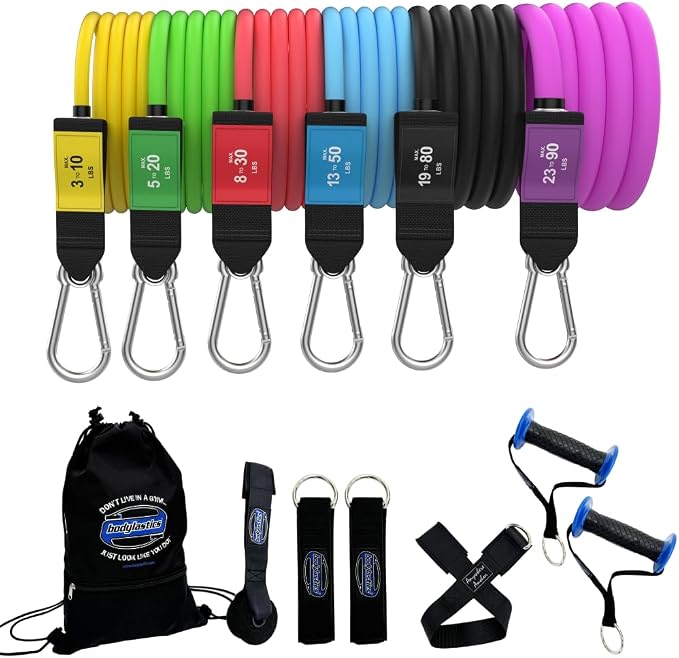 Bodylastics Patented Basic Series Resistance Band Set - Resistance Bands with Snap Reduction Tech, 2 Handles, 2 Ankle Straps, 1 Door Anchor & 1 Carry Bag