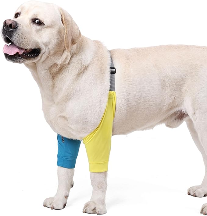 HDKUW Dog Elbow Protector for Calluses, Recovery Suit for Front Legs, Cone Collar Alternative to Stop Licking Wounds, Cover Sleeve for Small Medium Large Dogs - Blue XL