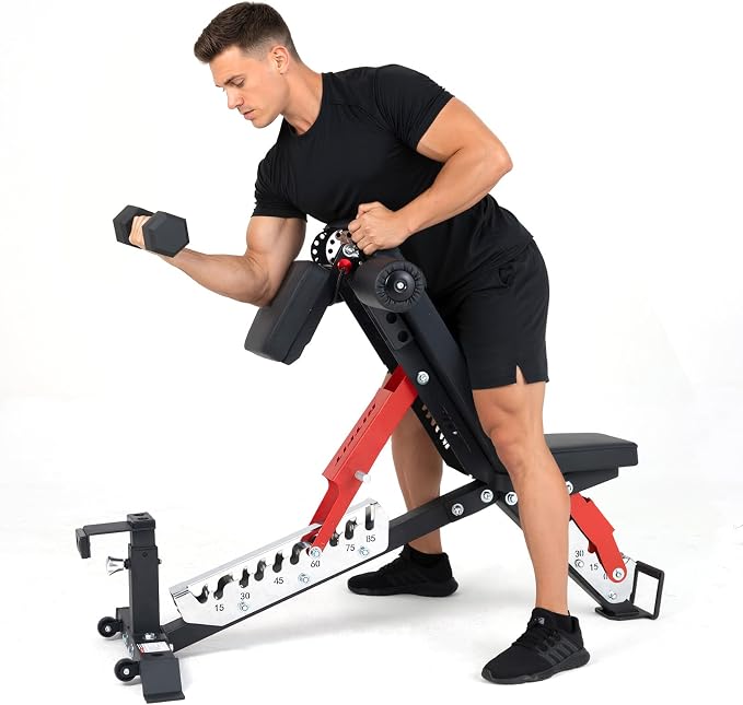 RitFit Adjustable/Foldable Utility Weight Bench for Home Gym | Incline Decline Flat, Multi-Position Backrest & Seat, Full Body Strength Training with Heavy Duty Steel Frame, Foldable