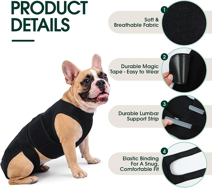 Dog Back Brace for IVDD Recovery, Adjustable Dog Spine Support Harness for Dachshund Corgi French Bulldog Pug, Pain Relief Back Protector for Senior,Post‑Surgery,Long‑Bodied & Overweight Dogs, S