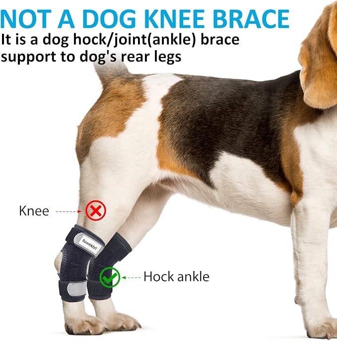 Dog Leg Braces for Rear Legs, Hock Brace for Back Legs with Metal Strips and Safety Reflective Straps for Short Legs, Joint Warps Support for Hind Legs Injuries Sprains Arthritis (Medium(1Pair)
