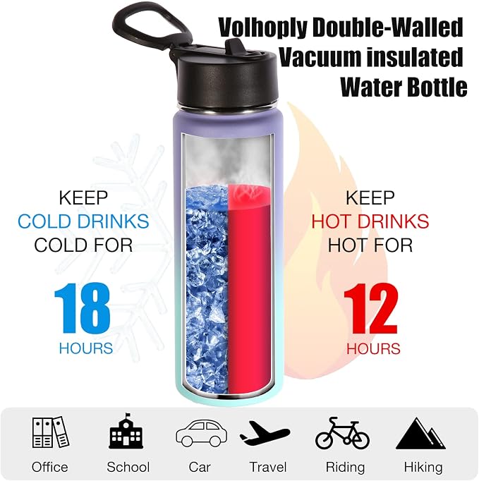 Volhoply 24oz Insulated Water Bottle With Straw Bulk 6 Pack,Metal Wide Mouth Water Bottles With Handle Keep Cold,Reusable Double Wall Cups,Powder Coated Sport Bottle For Holder(Purple Blue,6 Count)