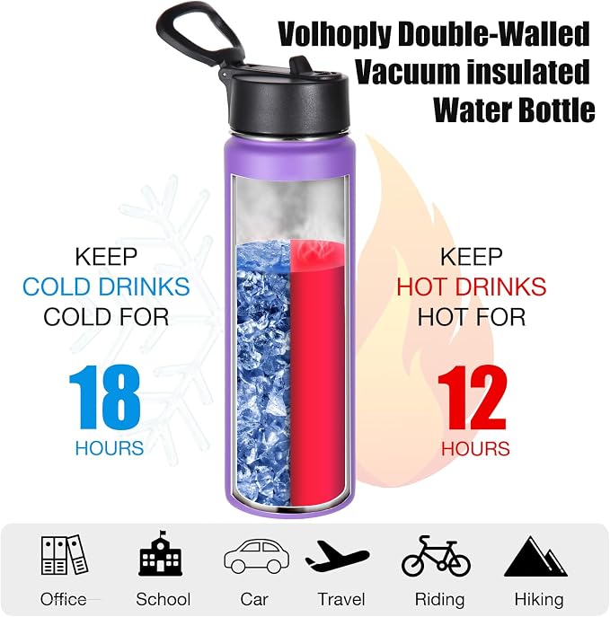 Volhoply 24oz Insulated Water Bottle with Straw Bulk 8 Pack,Metal Wide Mouth Water Bottles with Handle Lid Keep Cold,Reusable Double Wall Cups,Powder Coated Sport Bottle For Holder(Purple,8 Count)