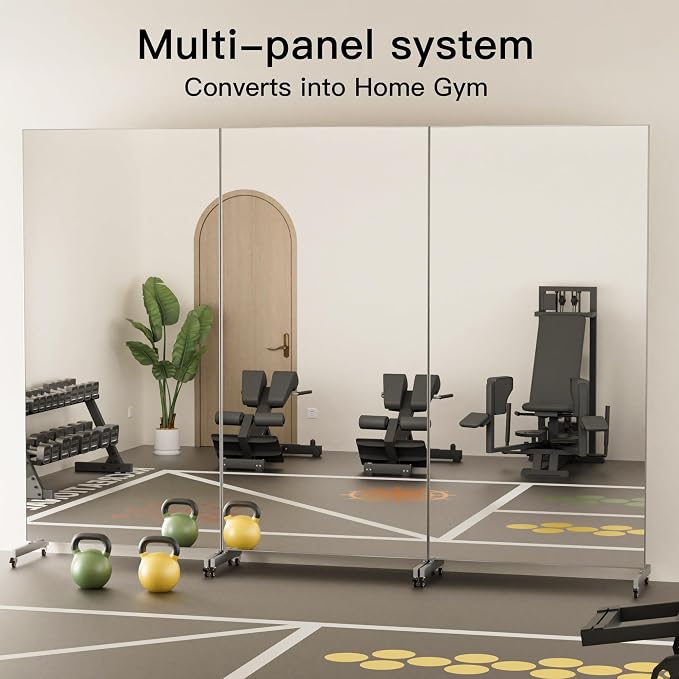 brisafe 67"x24" Ultra-Light Mobile Floor Mirror with 360° Wheels, 0.04mm Shatterproof Nano Film for Home Gym/Yoga/Dance Studio & Commercial Use | 60% Insurance Savings | Black