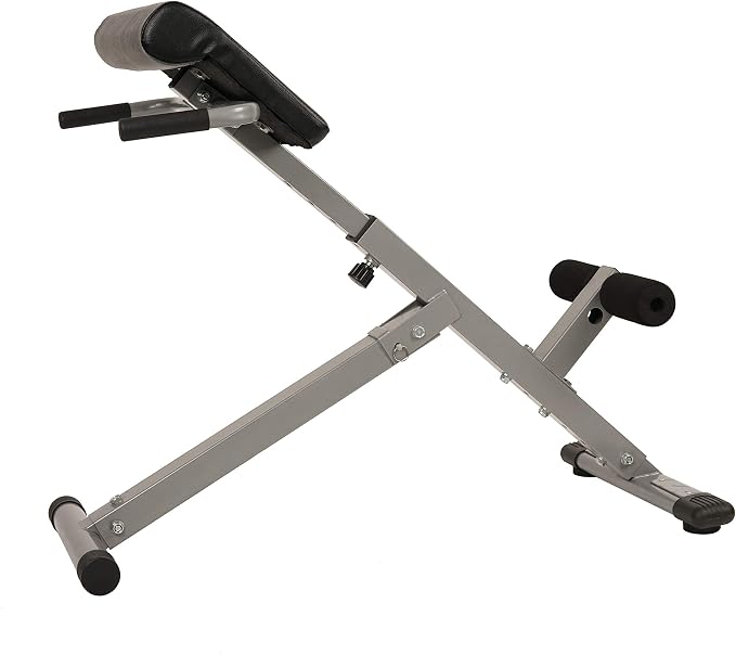 Sunny Health & Fitness Foldable Roman Chair, Back Hyperextension Bench | Adjustable Height, Folds Flat for Storage, Built in Dip Station, Targets Back, Abs & Core, Crunches & Back Extensions