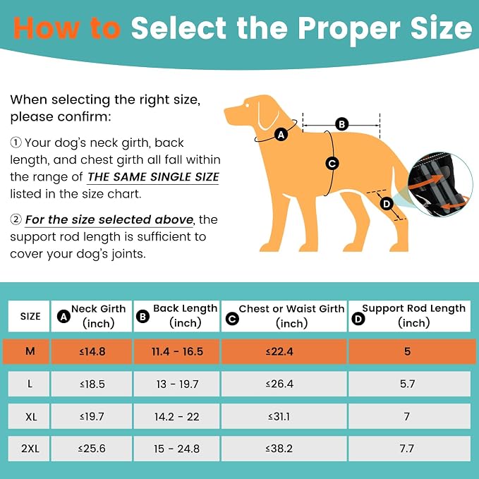 Snagle Paw Dog Knee Braces for Back Legs, ACL/CCL Support, M | Double-leg support, 4 reinforced stays, triple anti-slip fit, for walks, recovery, post-op care
