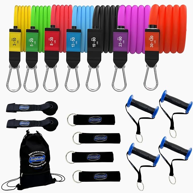 Bodylastics Patented Basic Series Resistance Band Set - Resistance Bands with Snap Reduction Tech, 2 Handles, 2 Ankle Straps, 1 Door Anchor & 1 Carry Bag