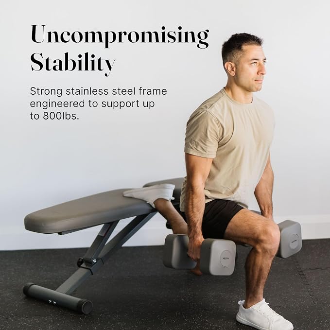 WeGym Workout Bench, Adjustable and Collapsible for Home Gym Training | Adjustable and collapsible design, comfortable bench, home gym strength training