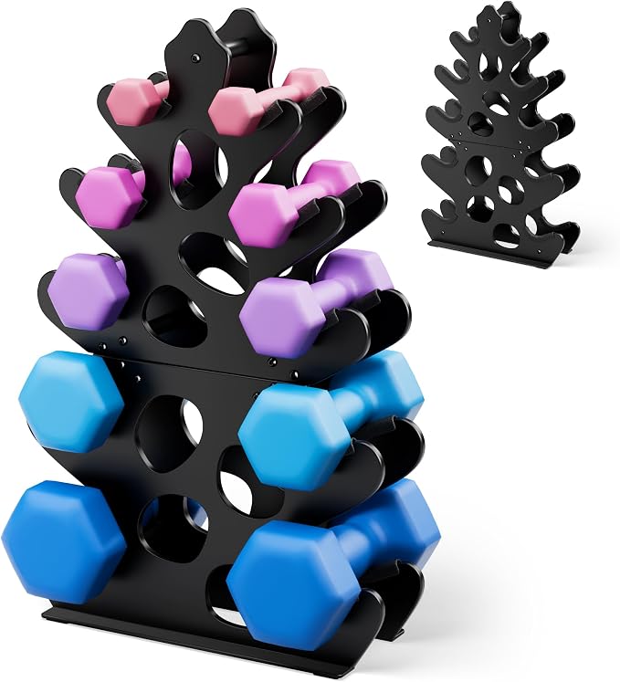4 Tier Dumbbell Rack, Weight Rack For Home Gym, Dumbbell Stand for Free Weights
