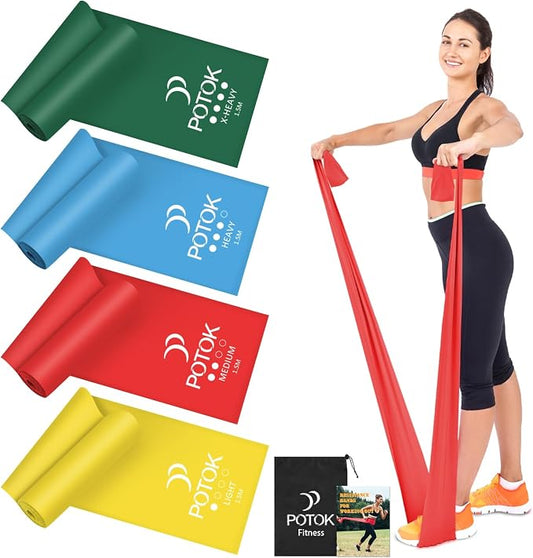 Resistance Exercise Band Kit,4 Pack Resistance Bands for Women or Men,Physiotherapy Recovery Fitness Band for Mobility Strength & Rehab Premium Quality