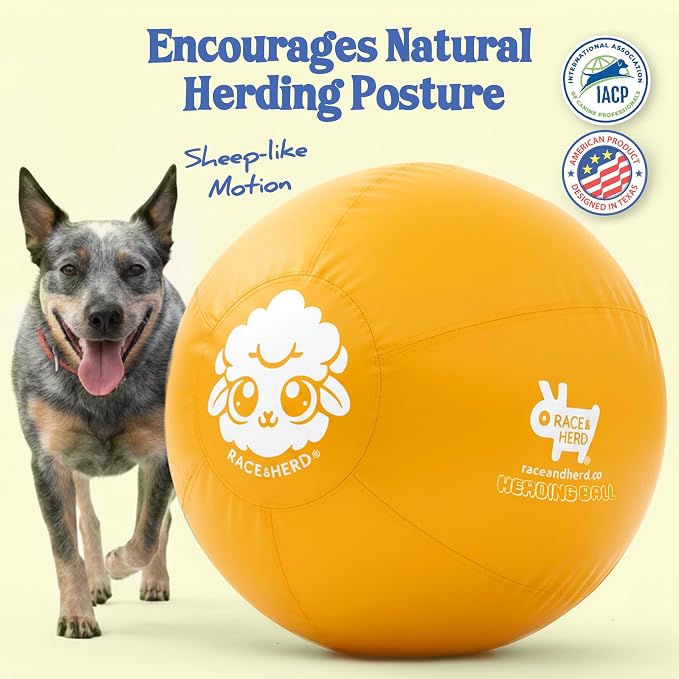 Race&Herd 25" Original Herding Ball for Dogs — Balls for Dog Toys (Gold) | Large Herding Ball for Australian Shepherd, Border Collie, Corgi & Blue Heeler — Instinct-Driven Outdoor Exercise