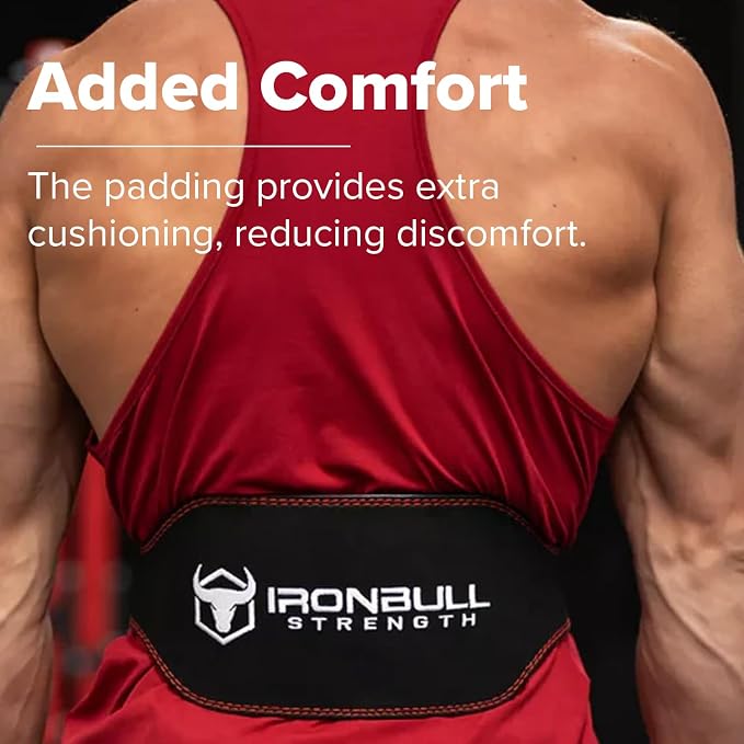 Weight Lifting Belt - 6-inch Padded Leather Weight Belt - Heavy Duty And Comfortable Back Support For Heavy Weightlifting and Fitness