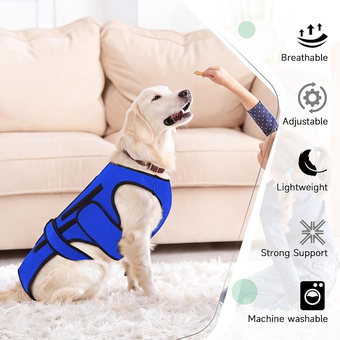 Back Brace for Dogs with Strong Spine Stability Support, Blue XL | IVDD Mobility Back Brace for Pet, Breathable & Adjustable for Joint & Hip Support Senior or Less Mobile Dogs