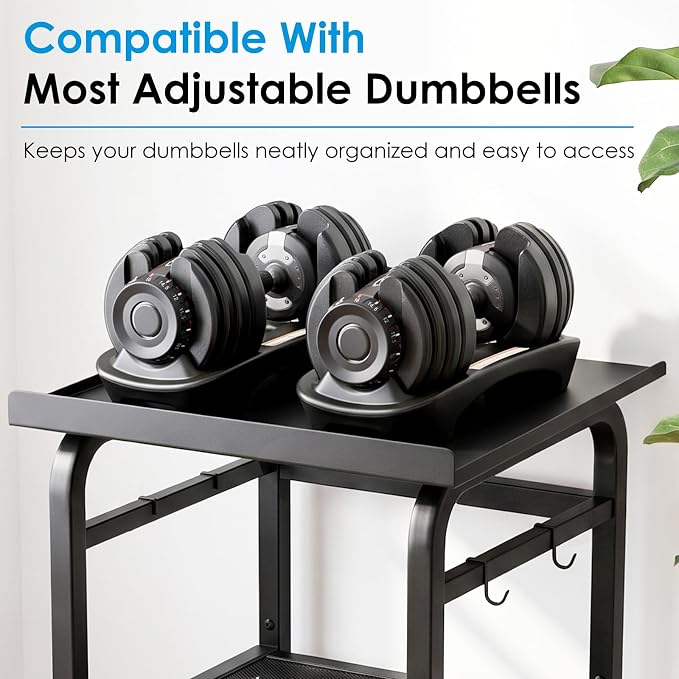 Dumbbell Rack Stand Only, 500LB Capacity for Adjustable Dumbbells, Home Gym