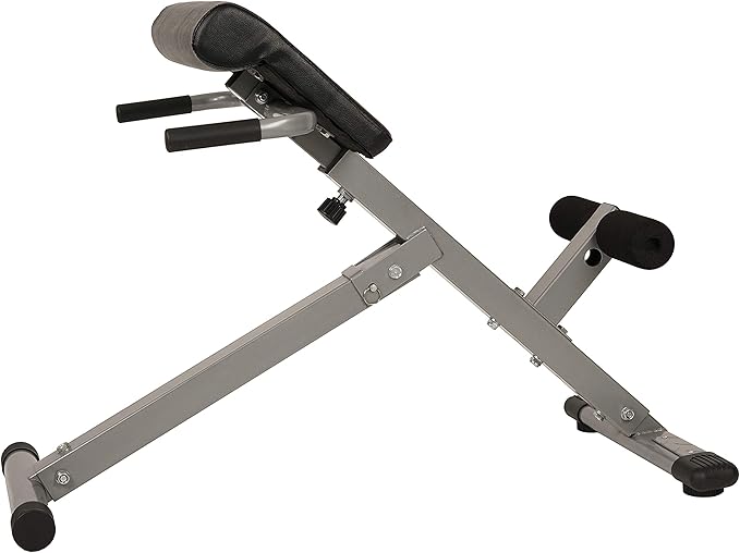 Sunny Health & Fitness Foldable Roman Chair, Back Hyperextension Bench | Adjustable Height, Folds Flat for Storage, Built in Dip Station, Targets Back, Abs & Core, Crunches & Back Extensions