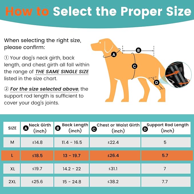 Snagle Paw Dog Knee Braces for Back Legs, ACL/CCL Support, L | Double-leg support, 4 reinforced stays, triple anti-slip fit, for walks, recovery, post-op care