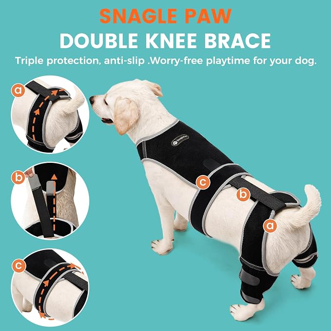 Snagle Paw Dog Knee Braces for Back Legs, ACL/CCL Support, L | Double-leg support, 4 reinforced stays, triple anti-slip fit, for walks, recovery, post-op care