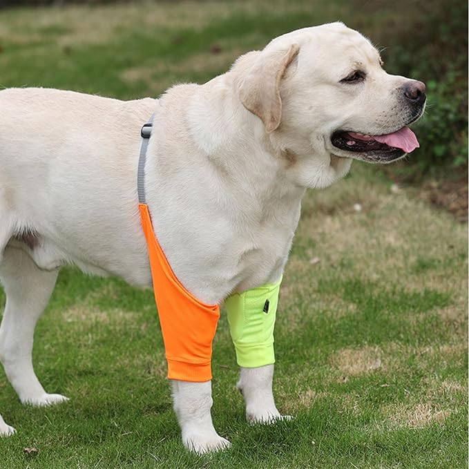 HDKUW Dog Elbow Protector for Calluses, Recovery Suit for Front Legs, Cone Collar Alternative to Stop Licking Wounds, Cover Sleeve for Small Medium Large Dogs - Orange M