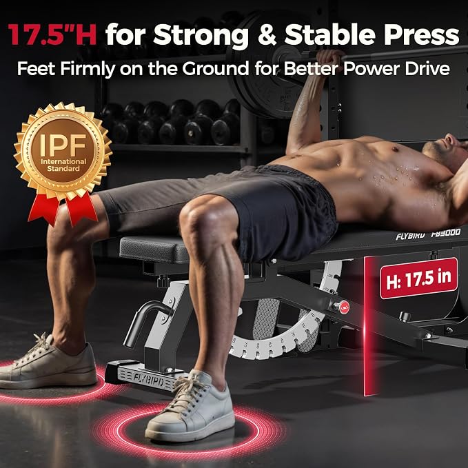 FLYBIRD Adjustable Weight Bench, Full Body Workout Bench for Home Garage Gym Strength Training, Incline Flat Decline for Sit Up Bench Press