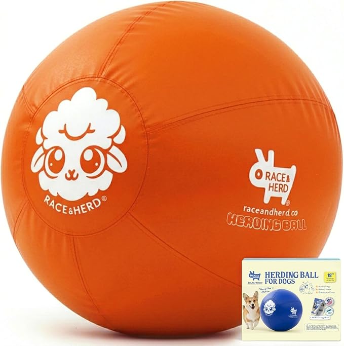 Race&Herd 18" Herding Ball for Dogs — Balls for Dog Toys (Tangerine) | Small Herding Ball for Mini Australian Shepherd, Border Collie, Corgi & Frenchie, Instinct-Driven Outdoor Exercise