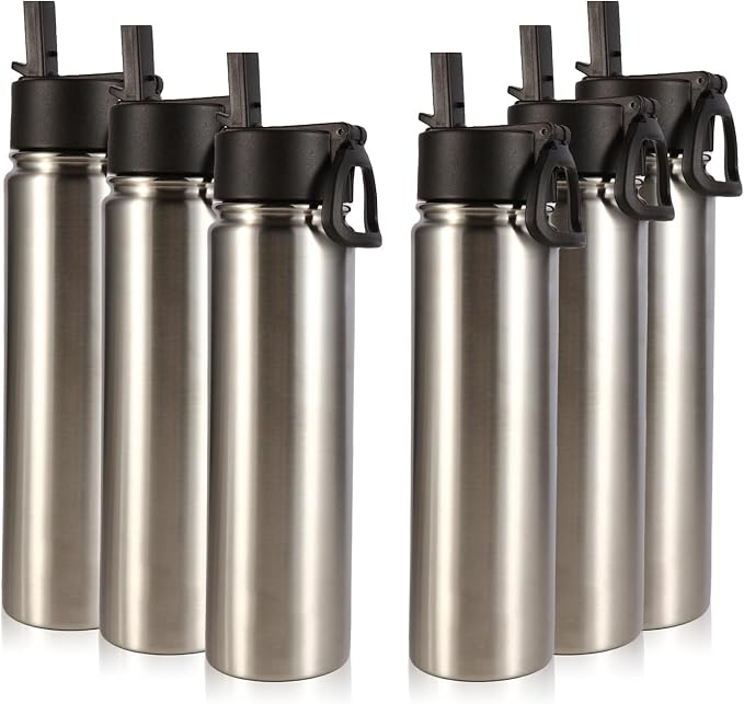Volhoply 24oz Insulated Water Bottle With Straw Bulk 6 Pack,Metal Wide Mouth Water Bottles With Handle Lid Keep Cold,Reusable Double Wall Cups,Powder Coated Sport Bottle For Holder(Silver,6 Count)