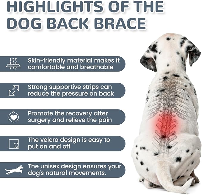 Dog Back Brace for IVDD Recovery, Adjustable Dog Spine Support Harness for Dachshund Corgi French Bulldog Pug, Pain Relief Back Protector for Senior,Post‑Surgery,Long‑Bodied & Overweight Dogs, L