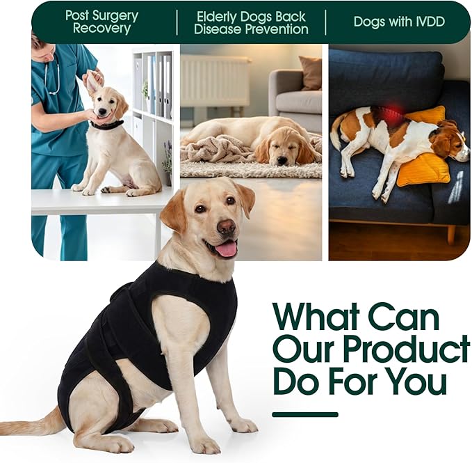 Dog Back Brace for IVDD Recovery, Adjustable Dog Spine Support Harness for Dachshund Corgi French Bulldog Pug, Pain Relief Back Protector for Senior,Post‑Surgery,Long‑Bodied & Overweight Dogs, M