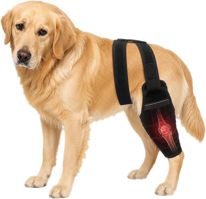Dog Knee Brace for Torn ACL CCL, Support Dog Leg Braces for Back Leg to Prevent Slipping, Hind Leg Support for Dog Joint Pain Recovery, Luxating Patella, Fits Small Medium Large Dogs, XL