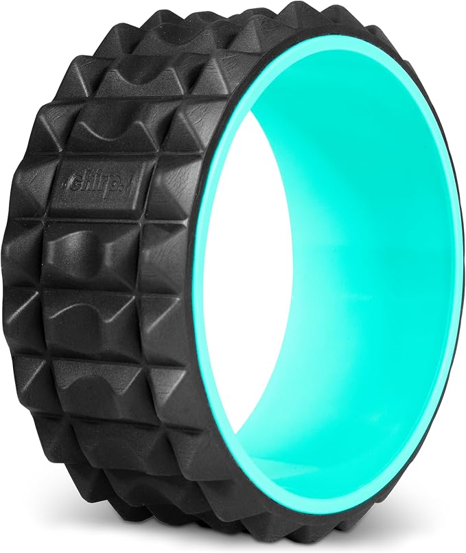 Chirp Wheel XR 10" Acupressure Back Roller for Muscle Relief, Mint | Acupressure Back Roller, Spinal Traction Wheel, Foam Roller for Trigger Points, Deep Tissue Back Massager, 10 Inch