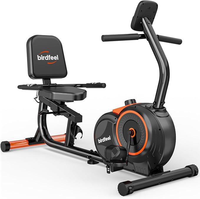 Recumbent Exercise Bike for Home,Recumbent Stationary Bikes for Adults & Seniors,Load Capacity of 400 pounds,Equipped with 16 Adjustable Gears, and Soft Adjustable Seats
