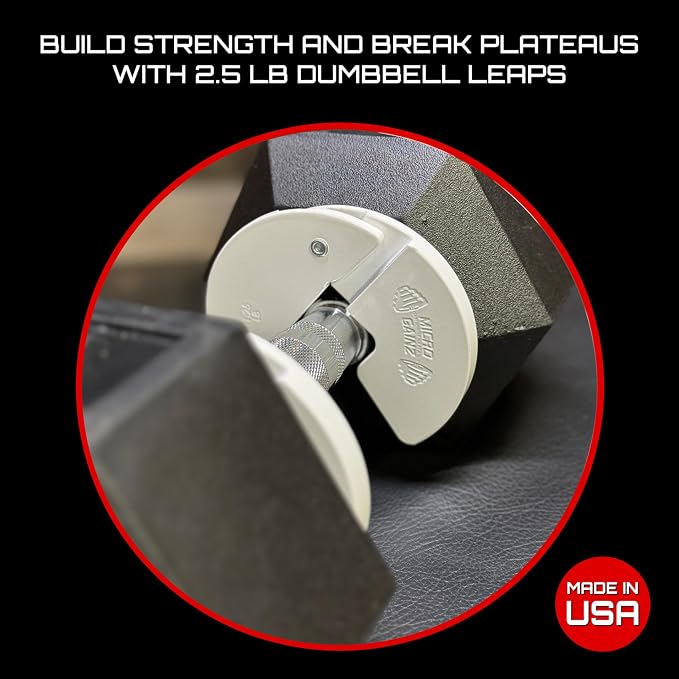 Micro Gainz 1.25LB Dumbbell Fractional Weight Plates, 2-Piece