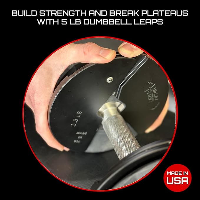 Micro Gainz 2.5LB Dumbbell Fractional Weight Plates, 2-Piece