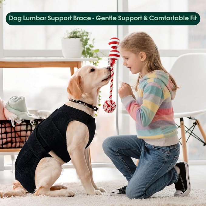 Dog Back Brace for IVDD Recovery, Adjustable Dog Spine Support Harness for Dachshund Corgi French Bulldog Pug, Pain Relief Back Protector for Senior,Post‑Surgery,Long‑Bodied & Overweight Dogs, S