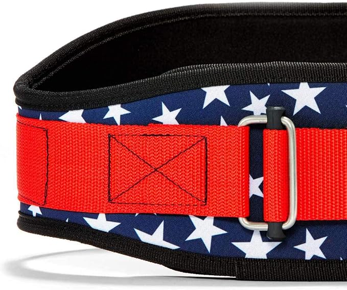 Schiek Sports 2006 Nylon 6 Inches Weight Lifting Belt - Support Belt for Power Lifting