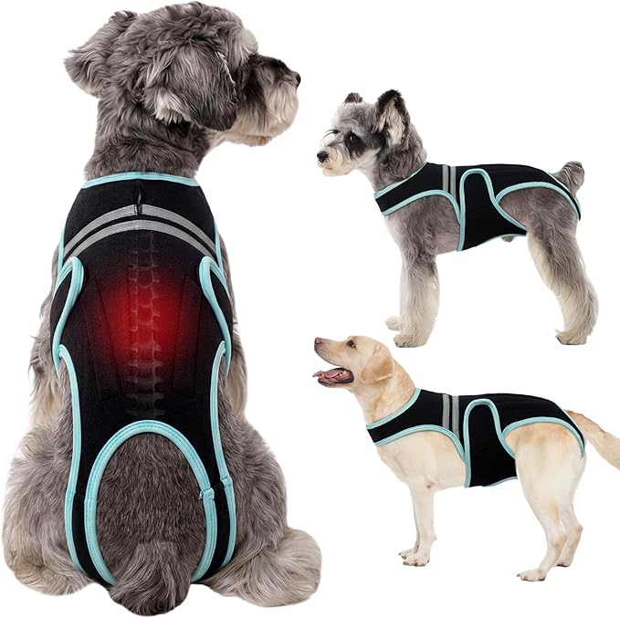 Dog Back Brace, Breathable Dog Post-Surgery Vest for IVDD, Arthritis & Spine Support, Adjustable Reflective Pet Back Bracer Pain-Relieving Harness, Black M