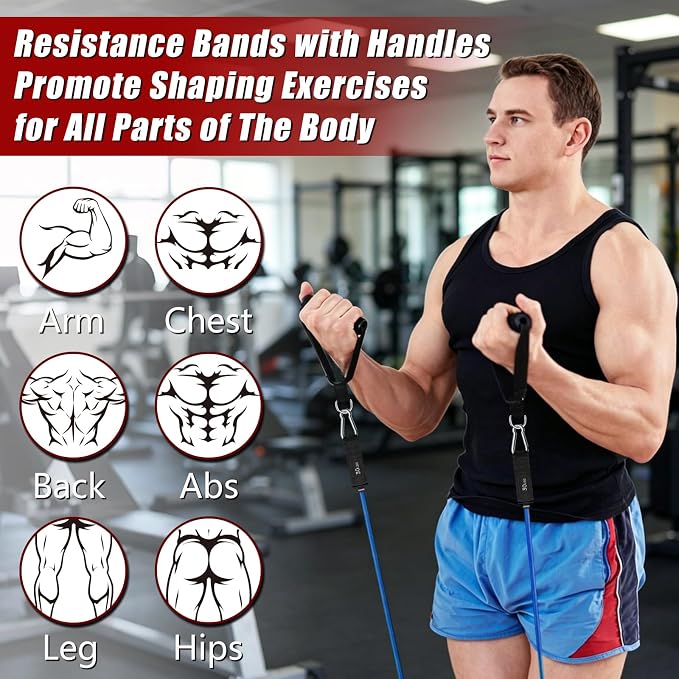 Resistance Bands with Handles, 5-Level Exercise Bands with Handles | Resistance Bands for Men and Women, Exercise Bands for Full-Body Training, Fitness, Physical Therapy, Workout Bands at Home;