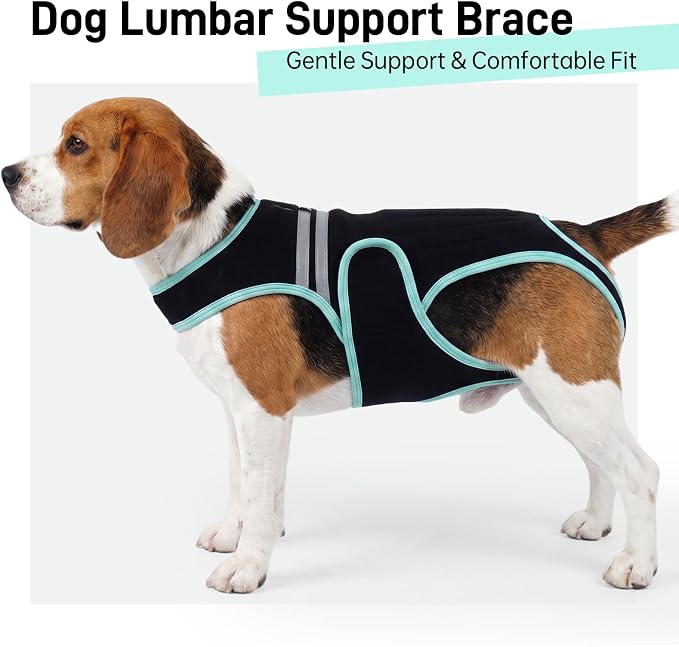 Dog Back Brace, Breathable Dog Post-Surgery Vest for IVDD, Arthritis & Spine Support, Adjustable Reflective Pet Back Bracer Pain-Relieving Harness, Black XL