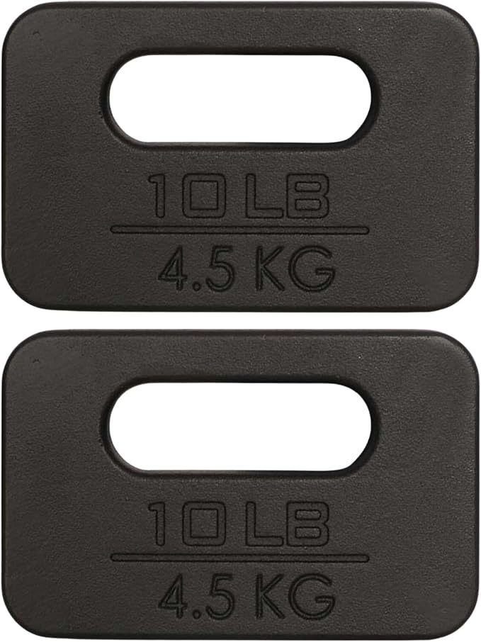 Yes4All Cast Iron Rucking Weight for Backpack, Training Weight Plate with Ergonomic Rounded Handle, Protective Glossy Finish for Weighted Walking, Hiking, Rucking, Resistance Workout