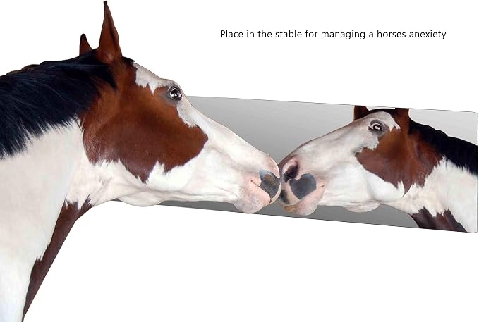 Marketing Holders Acrylic Mirror Sheet 12" x 36" Reflective Frameless Plexiglass Tile Lightweight Display with Rounded Corners for Buddy Sour Horses Chicken Coops Nurseries and Daycares