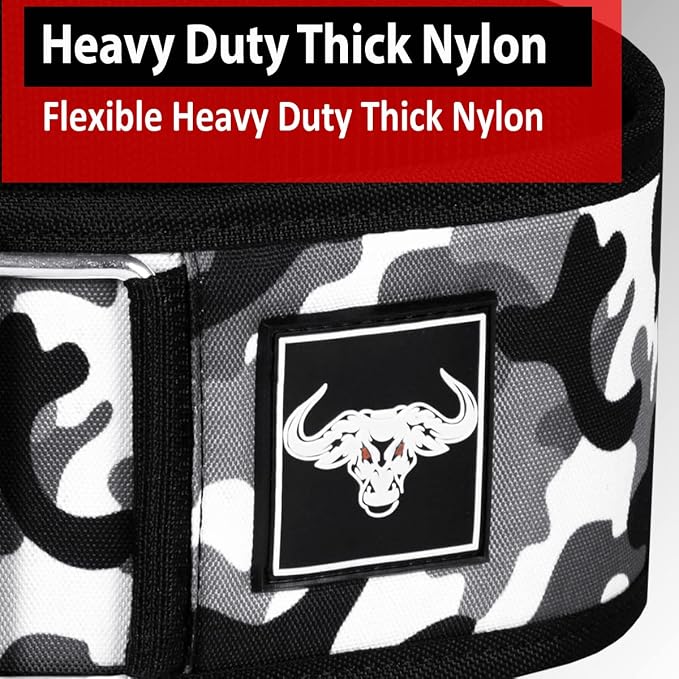 IBRO Quick Locking Premium Weight Lifting Belt - Back Support for Powerlifting, Cross Training & Gym Bodybuilding - 4 Inch Nylon Men and Women with Metal Buckle for Core Stability