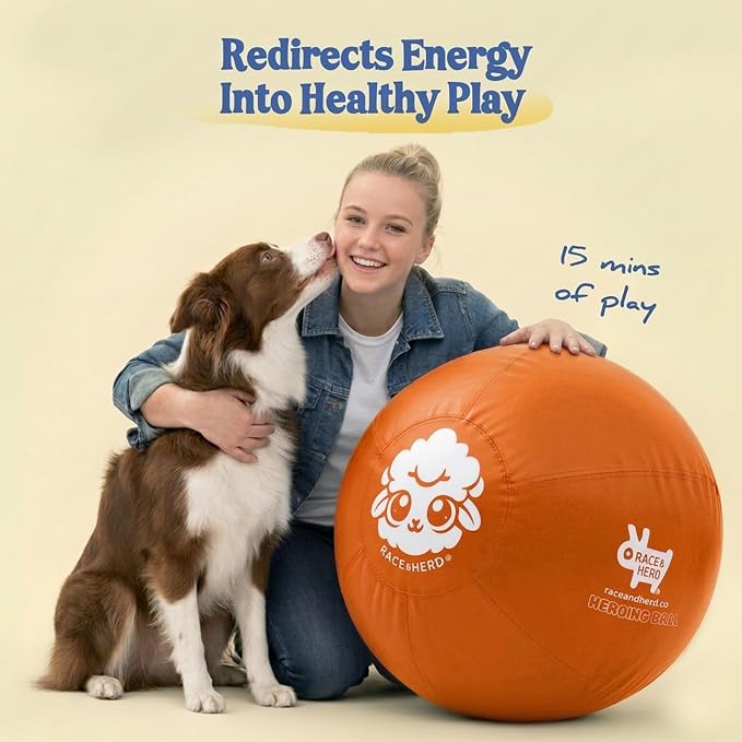 Race&Herd 18" Herding Ball for Dogs — Balls for Dog Toys (Tangerine) | Small Herding Ball for Mini Australian Shepherd, Border Collie, Corgi & Frenchie, Instinct-Driven Outdoor Exercise