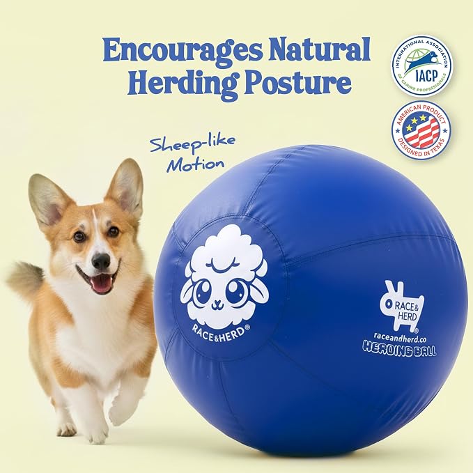 Race&Herd 18" Original Herding Ball for Dogs — Balls for Dog Toys (Ocean) | Small Herding Ball for Mini Australian Shepherd, Border Collie, Corgi & Frenchie, Instinct-Driven Outdoor Exercise