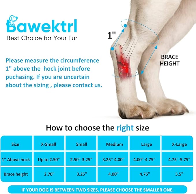 Dog Leg Braces for Rear Legs, Hock Brace for Back Legs with Metal Strips and Safety Reflective Straps for Short Legs, Joint Warps Support for Hind Legs Injuries Sprains Arthritis (Small(1Pair))