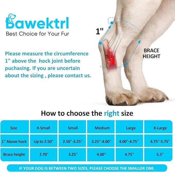 Dog Leg Braces for Rear Legs, Hock Brace for Back Legs with Metal Strips and Safety Reflective Straps for Short Legs, Joint Warps Support for Hind Legs Injuries Sprains Arthritis (Medium(1Pair)