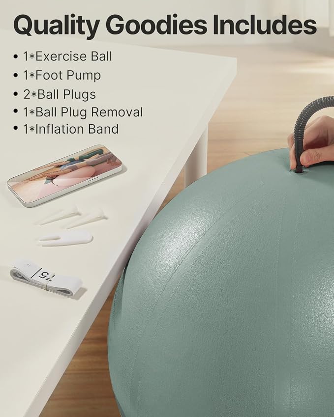 YOTTOY Anti-Burst Exercise Ball for Working Out, Yoga & Pregnancy, Extra Thick Workout Ball for Physical Therapy & Fitness