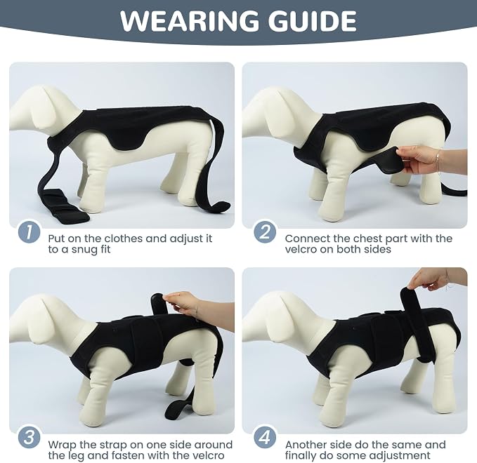 Dog Back Brace for IVDD Recovery, Adjustable Dog Spine Support Harness for Dachshund Corgi French Bulldog Pug, Pain Relief Back Protector for Senior,Post‑Surgery,Long‑Bodied & Overweight Dogs, L