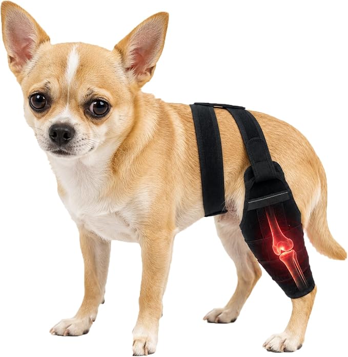 2026 Dog Knee Brace for Torn ACL CCL, Support Brace with Back Strap to Prevent Slipping, Hind Leg Support for Dog Joint Pain Recover, Luxating Patella, Fits Small Medium Large Dogs, S