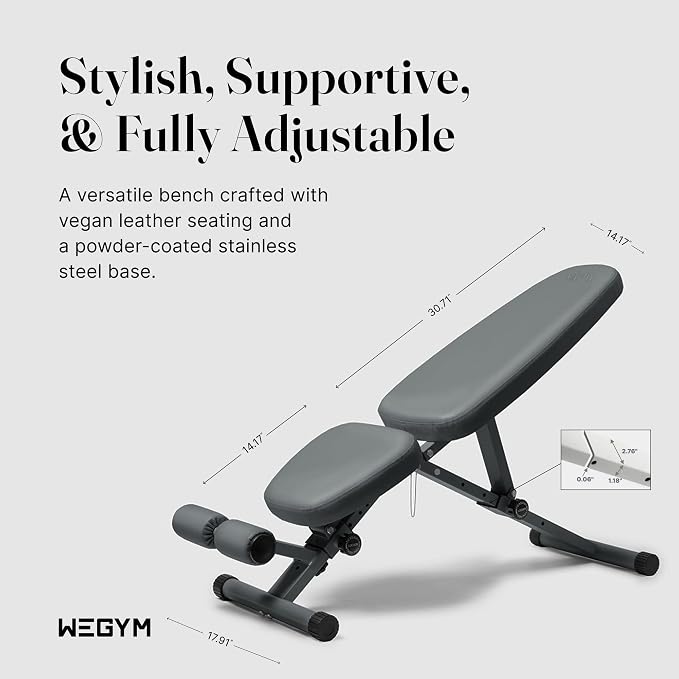 WeGym Workout Bench, Adjustable and Collapsible for Home Gym Training | Adjustable and collapsible design, comfortable bench, home gym strength training