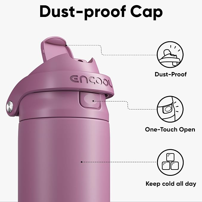ENCOOL Leakproof Insulated Water Bottle with Straw Dual-Sip Water Bottle Bag-Safe Design for Work, Commute & Gym – Keeps Drinks Cold All Day, 32 oz, Mountbatten Pink